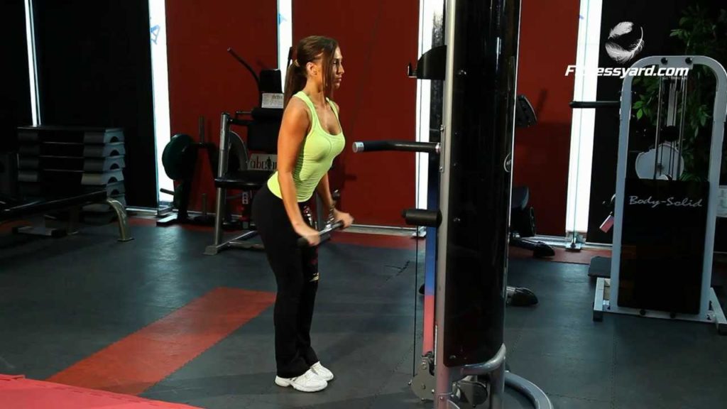 triceps pushdown cable